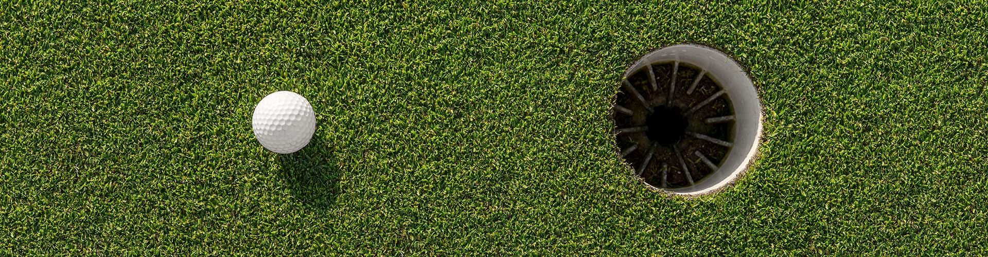 Backyard Putting Green — Relyir artificial grass