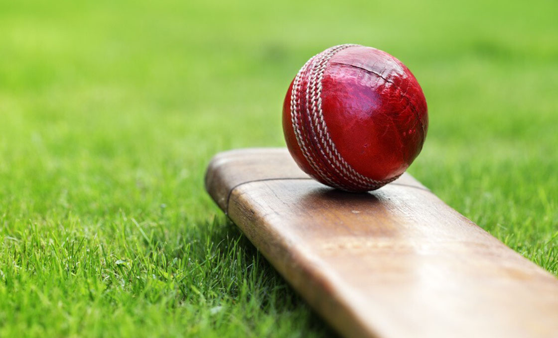 Artificial cricket turf pitch surface detail