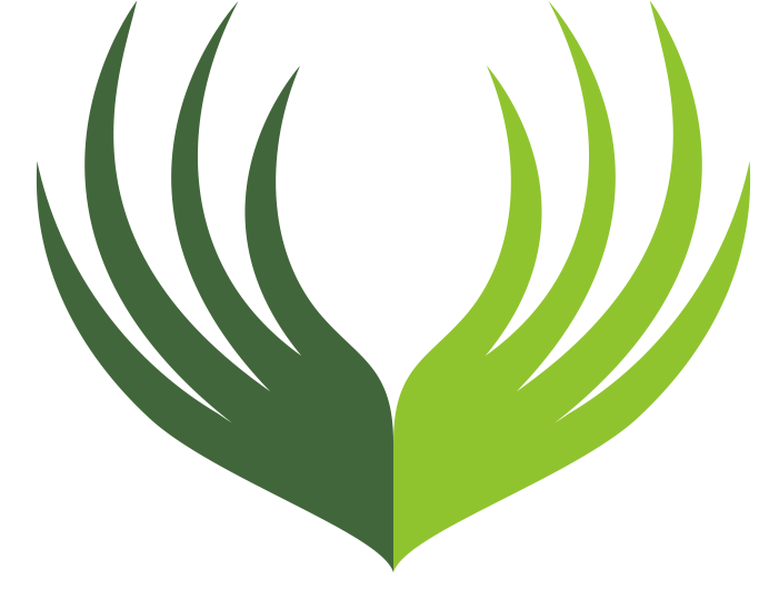 Relyir Grass — Artificial Grass Manufacturer in China