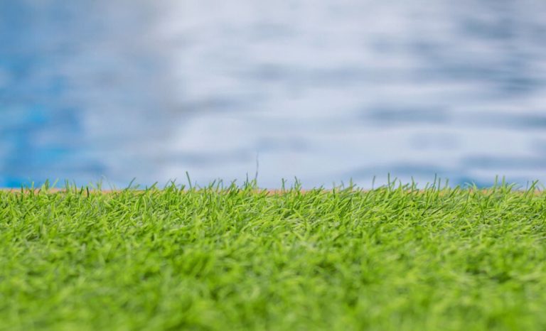 Why Choose Artificial Turf for Sports Fields: 7 Key Advantages