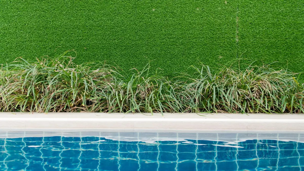 Artificial grass wall and ornamental grasses above a pool edge