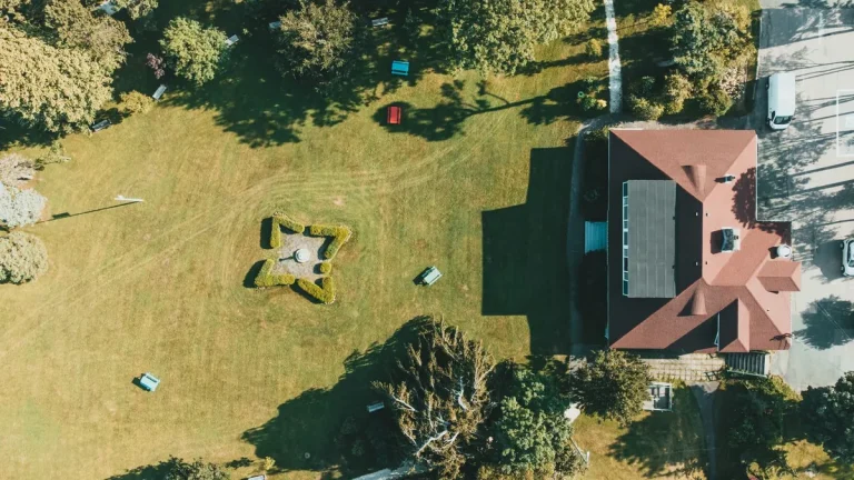 Artificial Grass Advice, Guides & Expert Tips