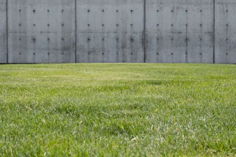 Complete Cost Breakdown: Turf vs. Pavers vs. Decomposed Granite