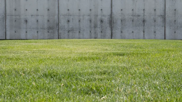 Artificial Grass Cost Per M2: 7 Powerful & Reliable Pricing Factors