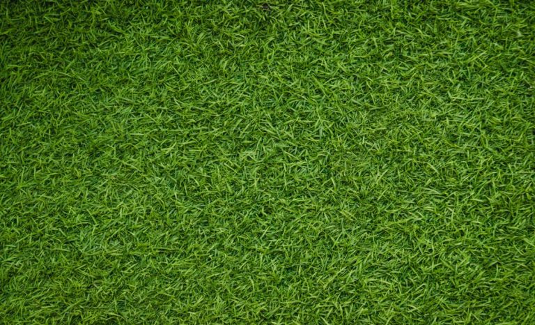 Bocce-Ball auf Kunstrasen: Warum er besser ist als Naturrasen
