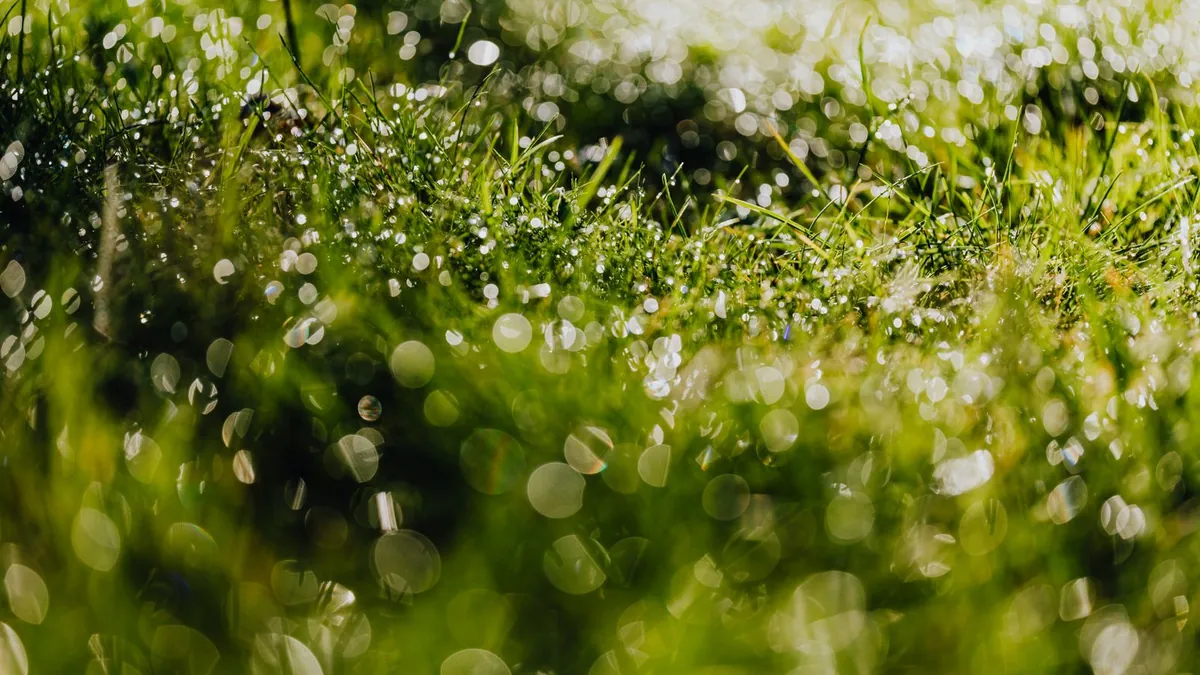 Close-up of water draining through perforated artificial turf backing during a rinse test