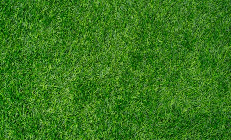 Was ist der Unterschied zwischen dem blauen und grünen Kunstrasen, der im Feldhockey verwendet wird?