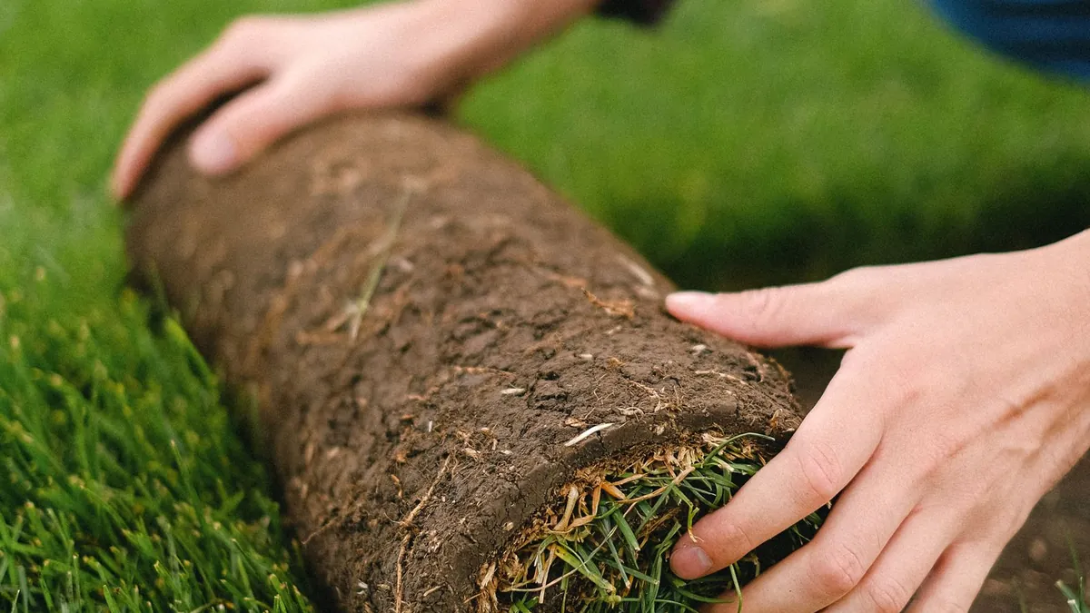 Rolling out artificial turf to show its weight and pile beside a tile grid