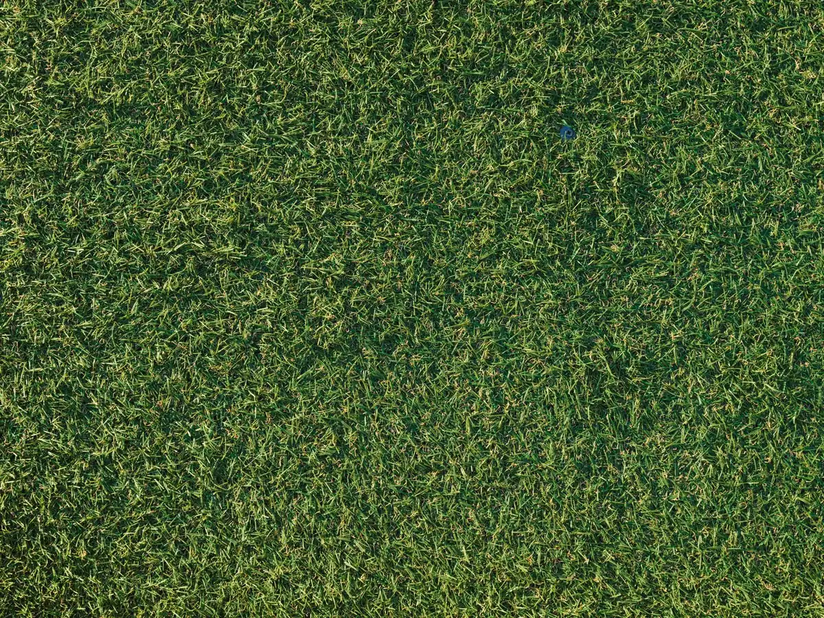Close cross-section of artificial grass showing the yarn, thatch layer and backing