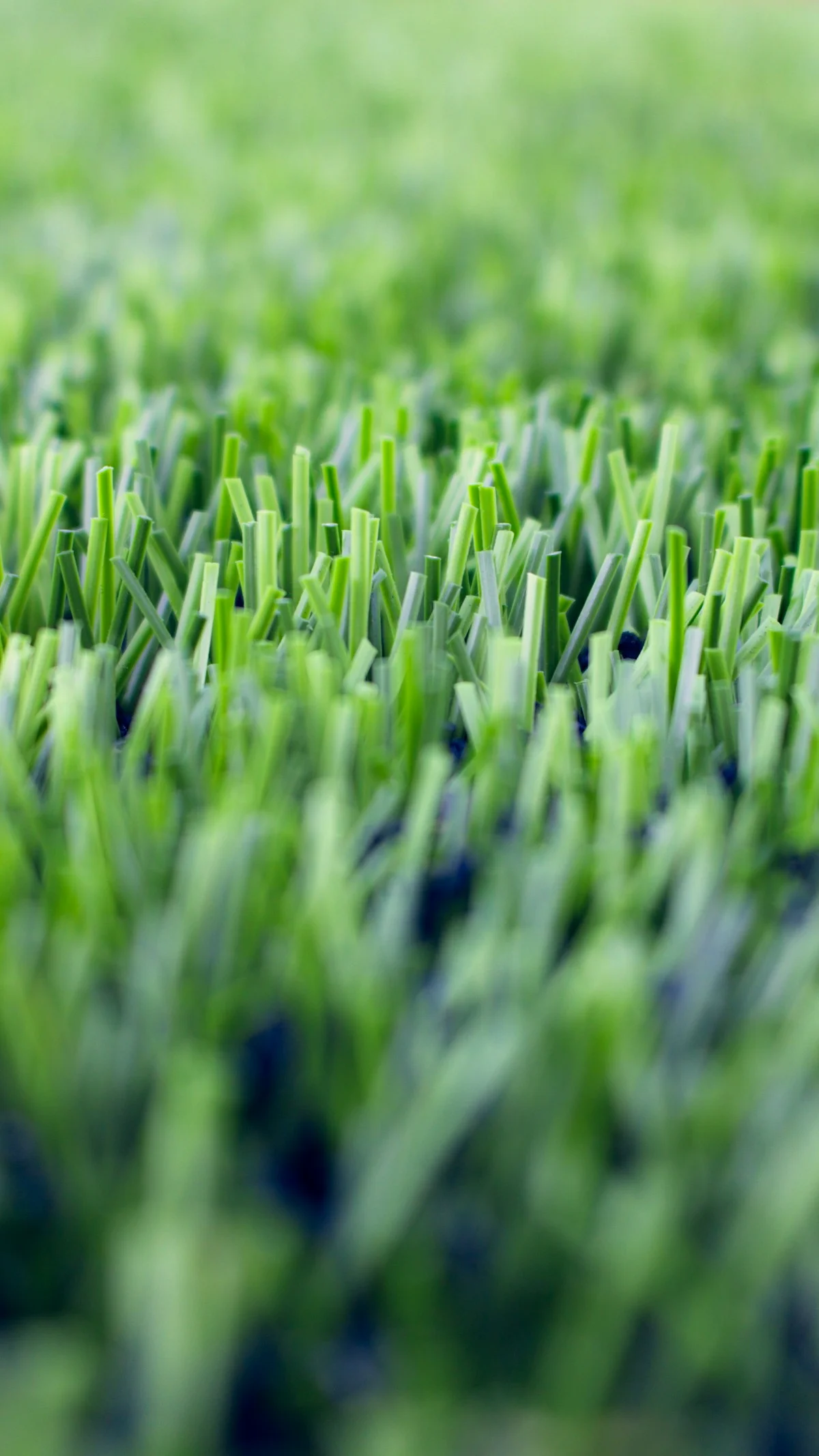 Artificial Grass Fibre What Flat, Diamond, and C-Shaped Blades Actually Mean