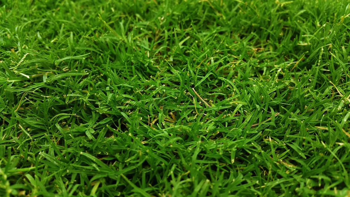 Tufting artificial grass fibres into backing cloth, showing gauge rows and stitch rate on a spec sheet explained