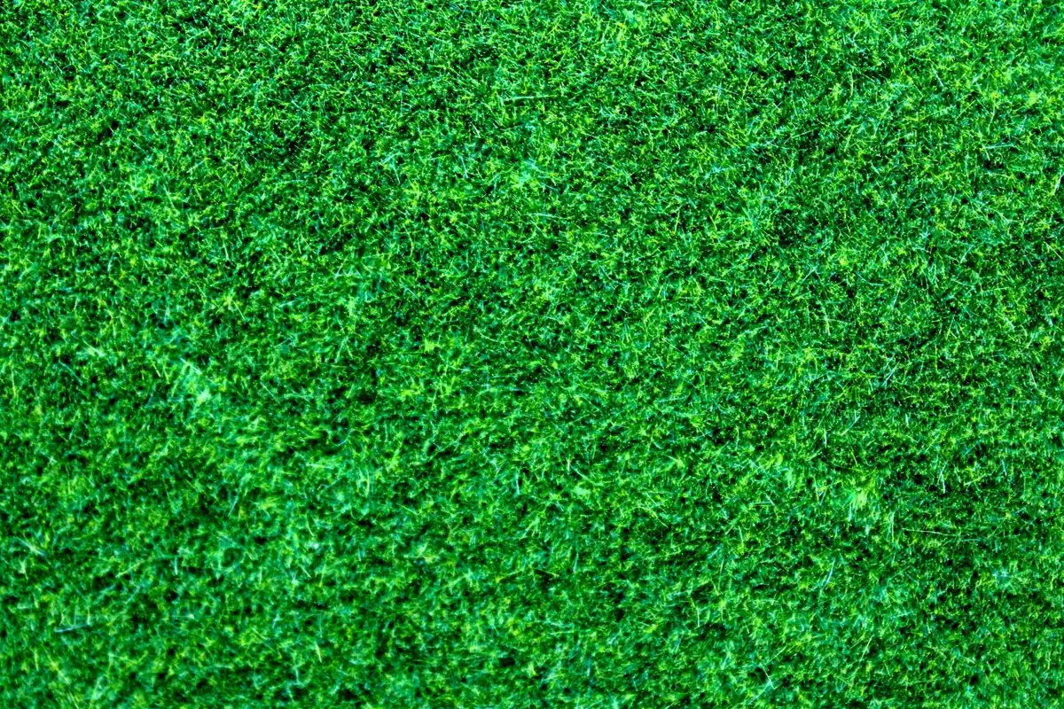 Coating applied to the reverse of artificial grass backing, the secondary backing that locks tufts and sets drainage