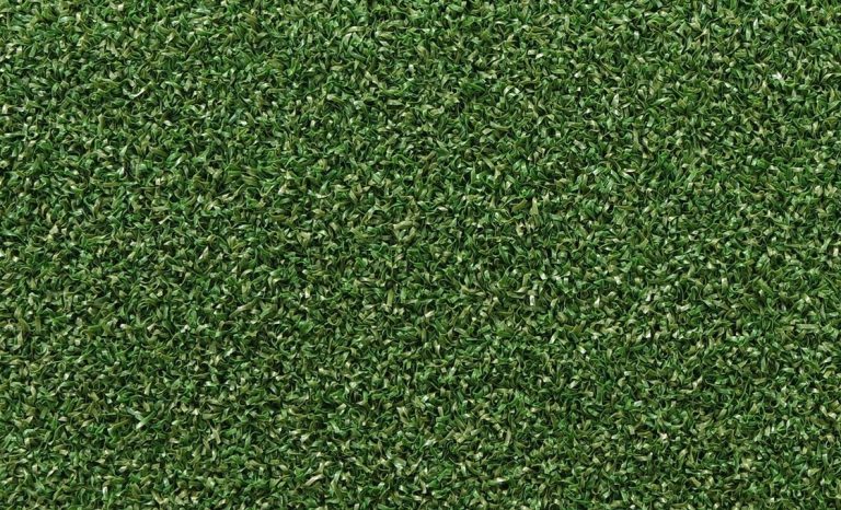 Why Does Artificial Grass Have Such Different Prices?