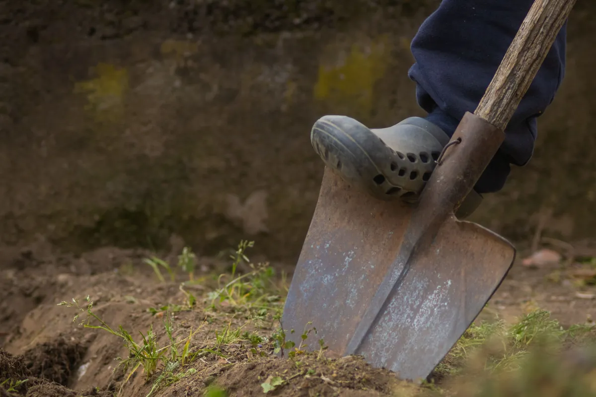 Close-up of a foot on a shovel digging into soil