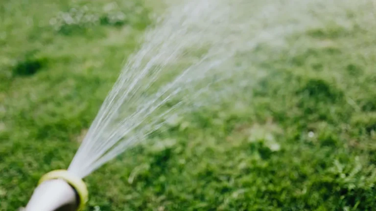 Artificial Grass Lawn Classification Guide by Types and Applications