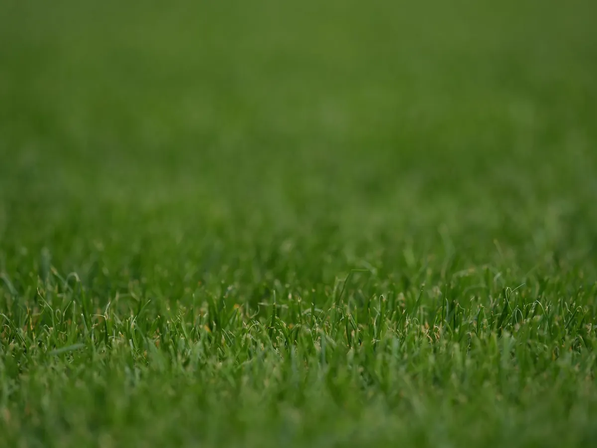 Turf specification fields read against the four artificial grass lawn classification axes