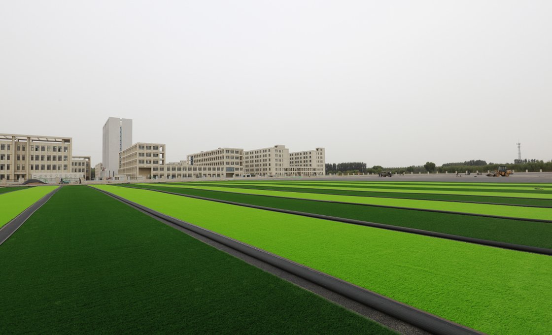 Large-scale stadium field under construction with unrolled turf stripes
