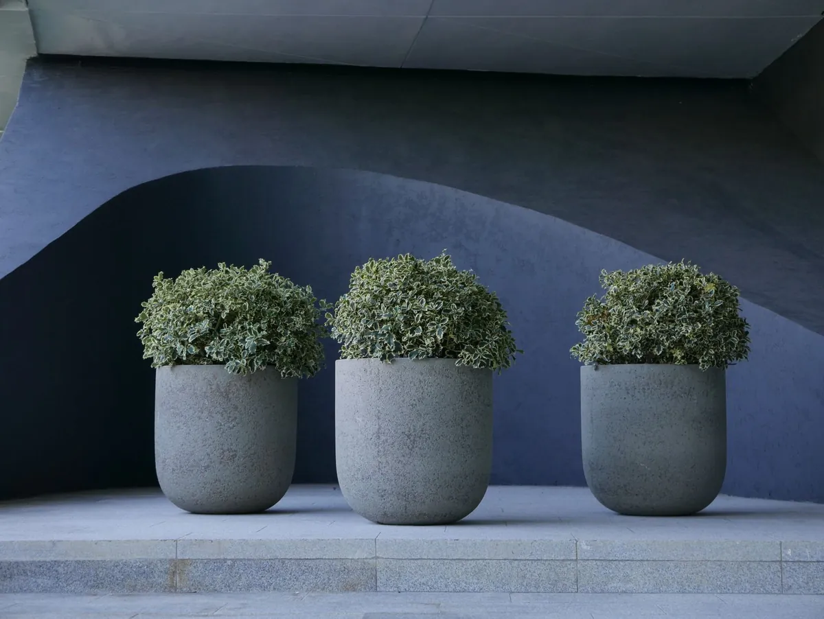 Modern concrete planters with lush green foliage