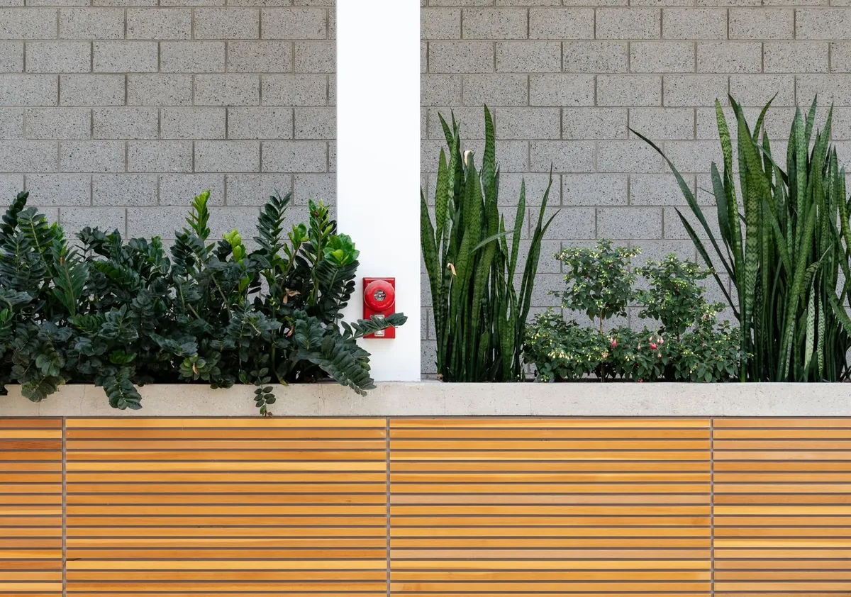 Stylish indoor garden with green plants
