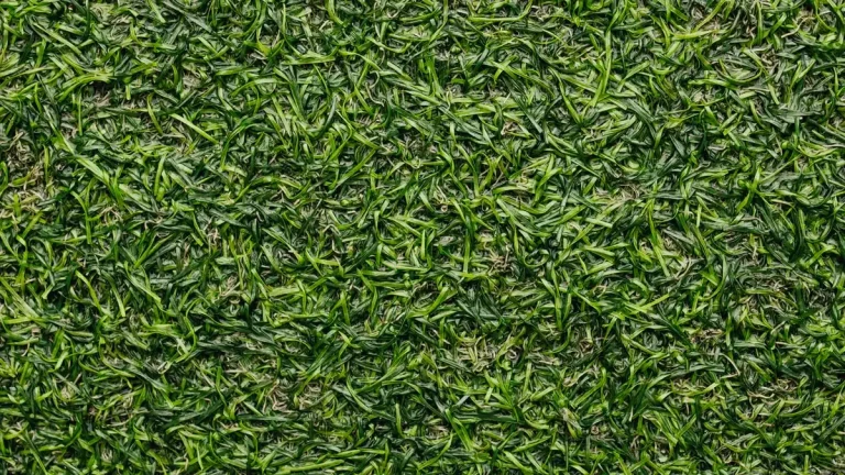 Artificial Grass Thatch: The Hidden Layer That Keeps Turf Standing