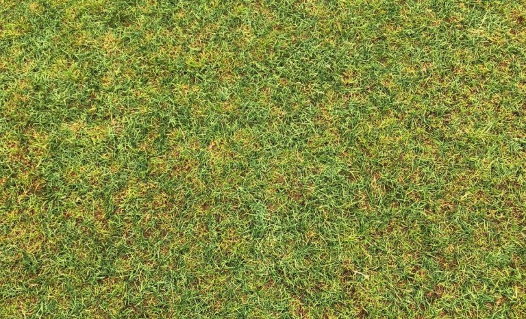 Why Synthetic Turf Manufacturers Extrude Their Own Yarn