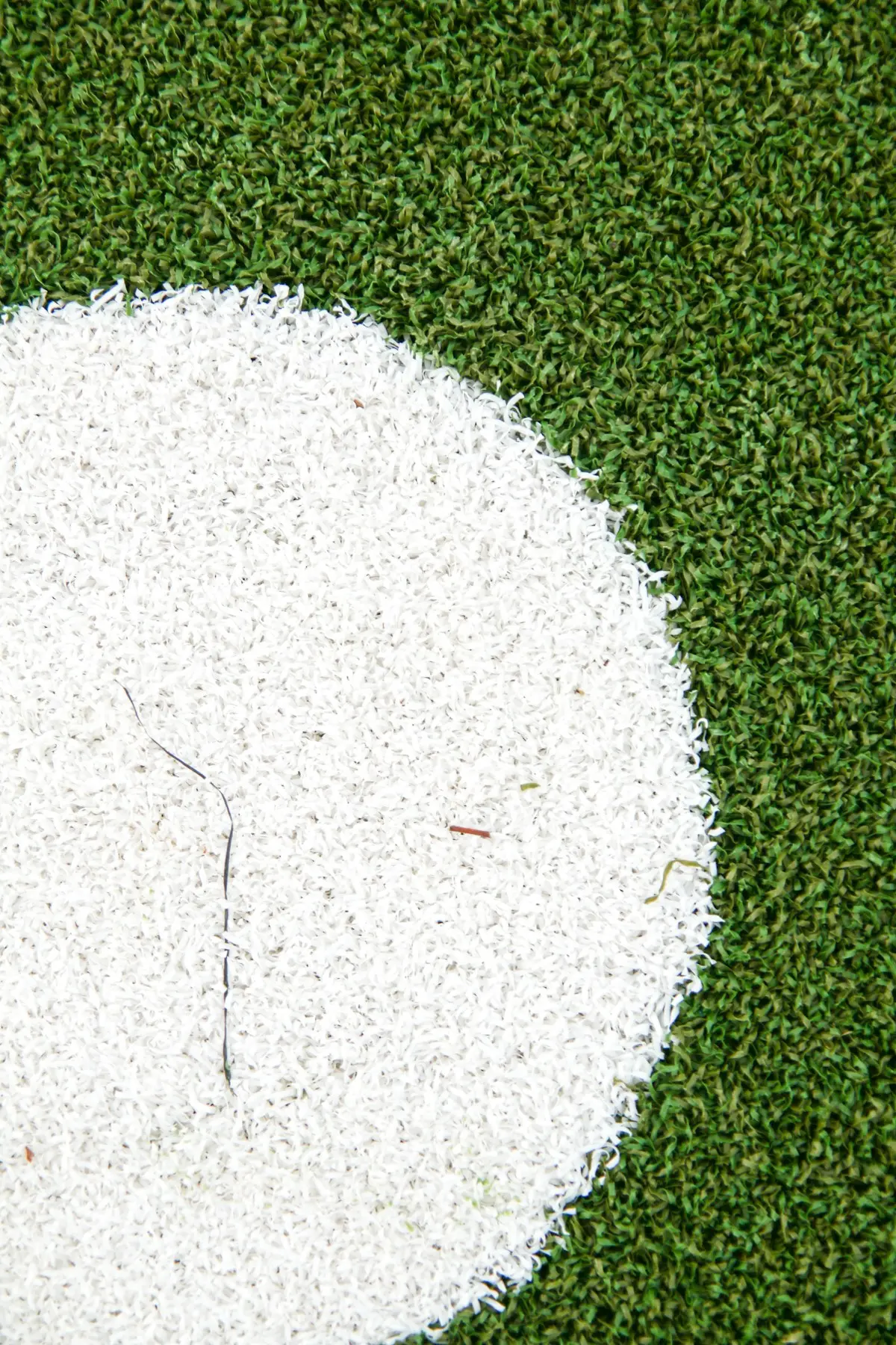 Artificial Turf 5. RoHS: Keeping Heavy Metals Out of the Turf