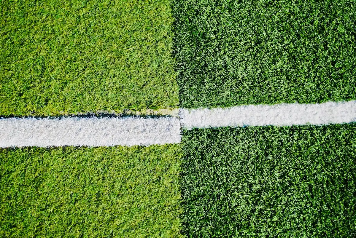Turf samples laid side by side with seams between them