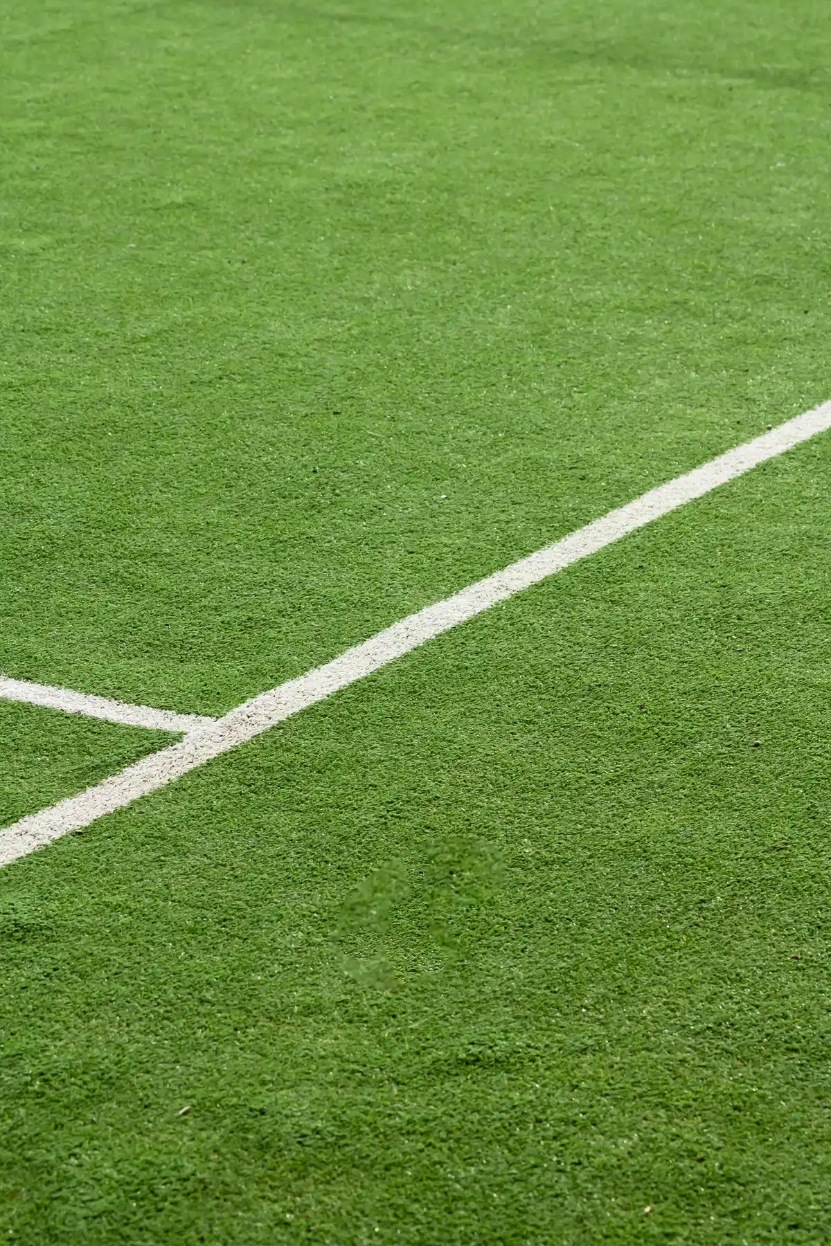 Artificial Turf Must-Have vs. Nice-to-Have: Picking the Right Certs