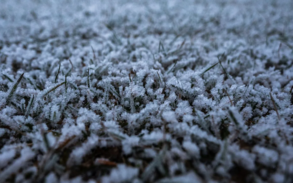 artificial turf installation covered with morning frost in winter