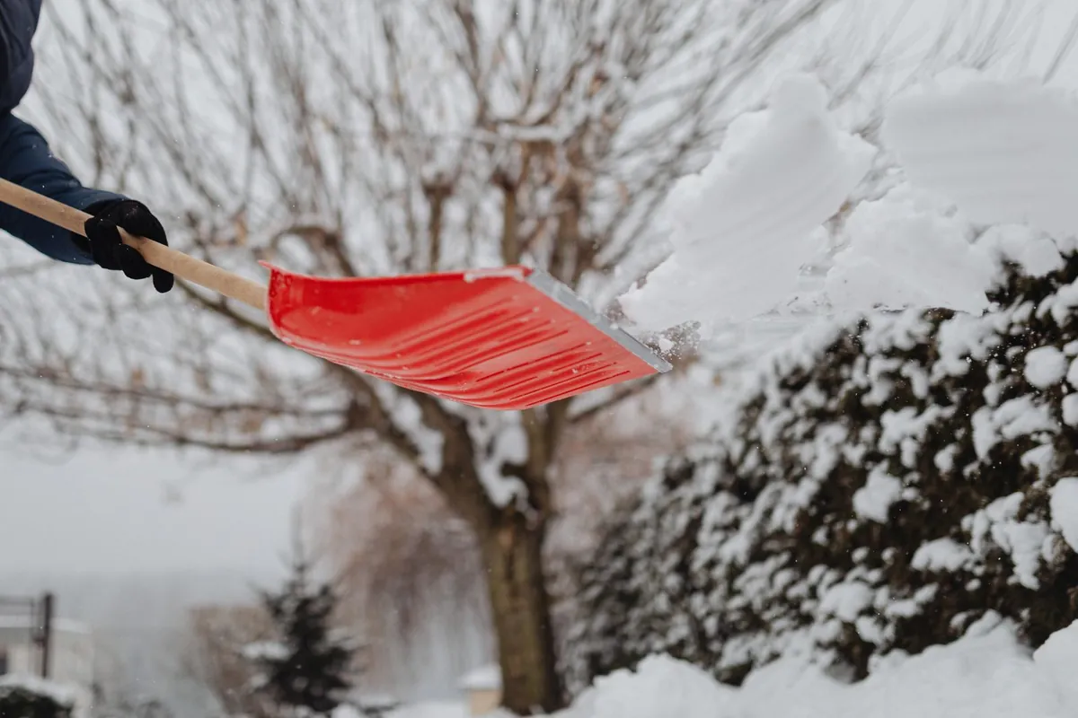 removing snow from artificial turf with a plastic pusher