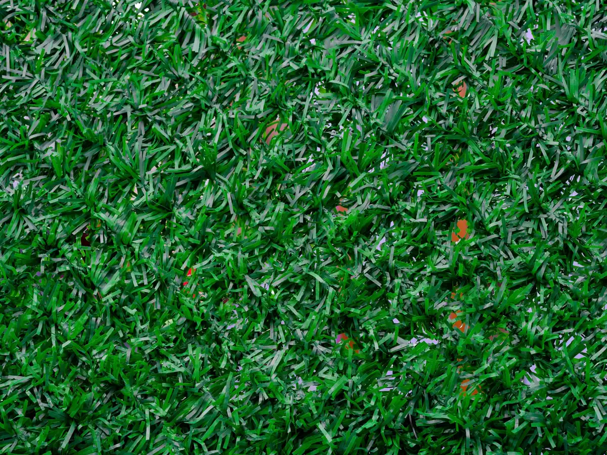 Synthetic green grass blade texture in close-up for lawn comparison