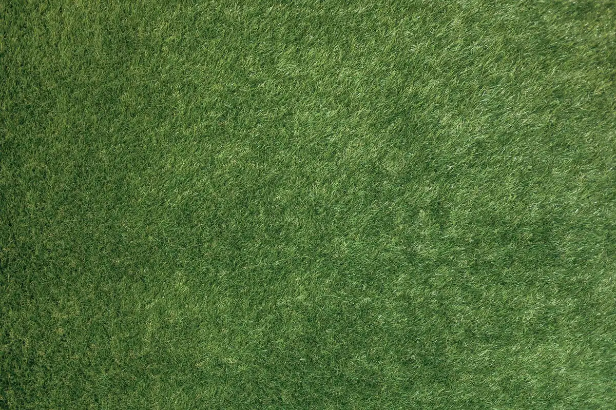 Staff brushing and disinfecting gym artificial turf for hygiene routine