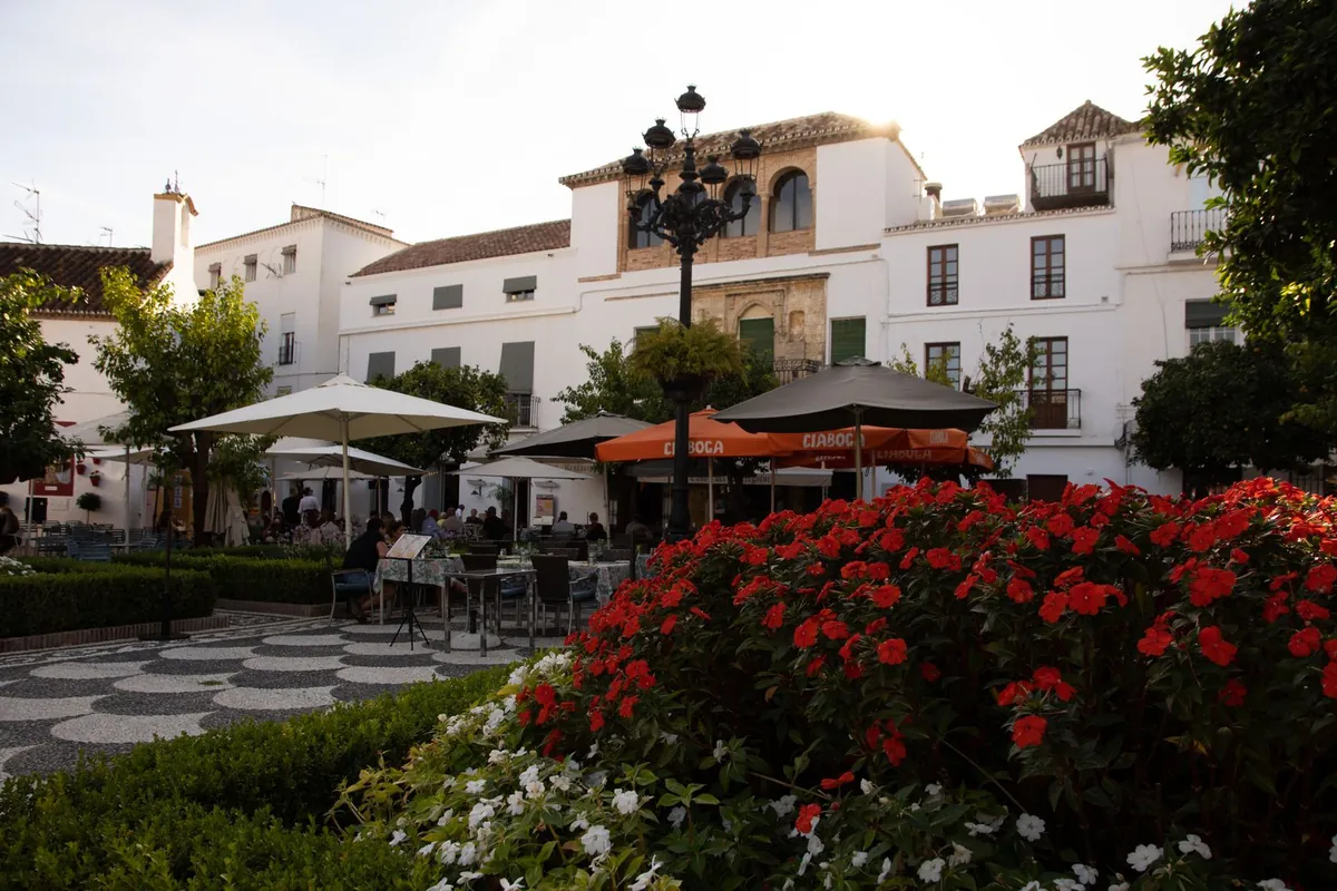 Outdoor cafe terrace with green landscaping for hospitality commercial use