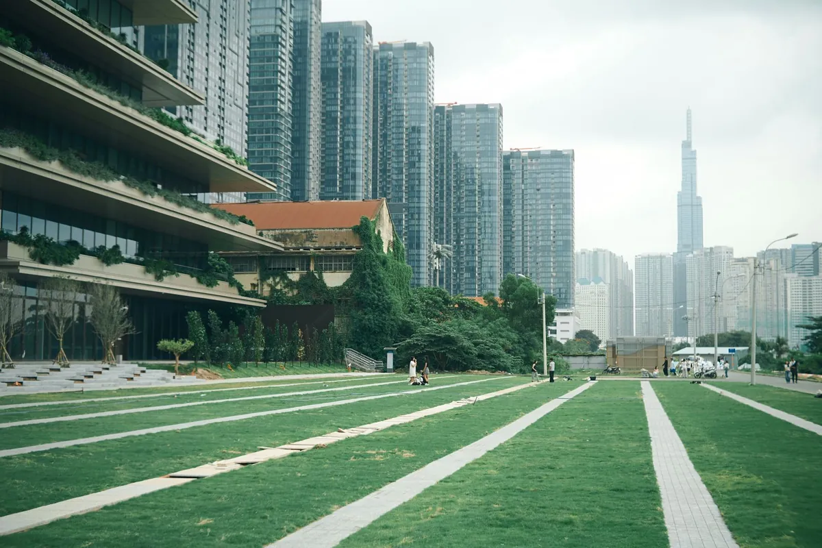 Urban park and modern greenery suited to municipal and commercial landscaping