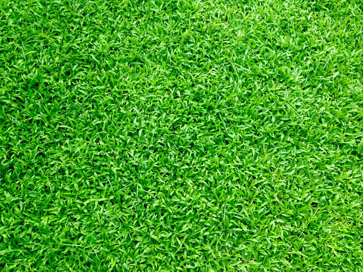 Cross-section of turf backing layers over subbase PU vs PP+Net