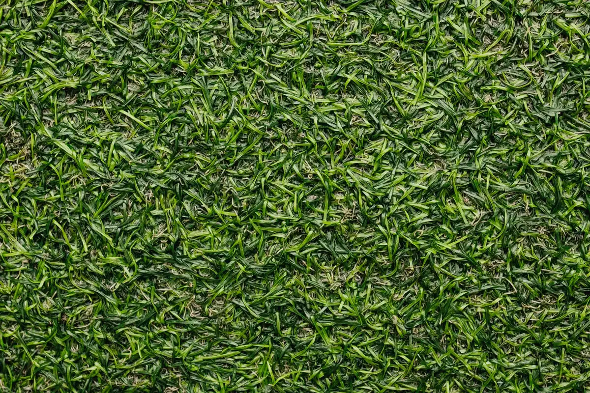Close-up of green artificial turf pile texture for height comparison