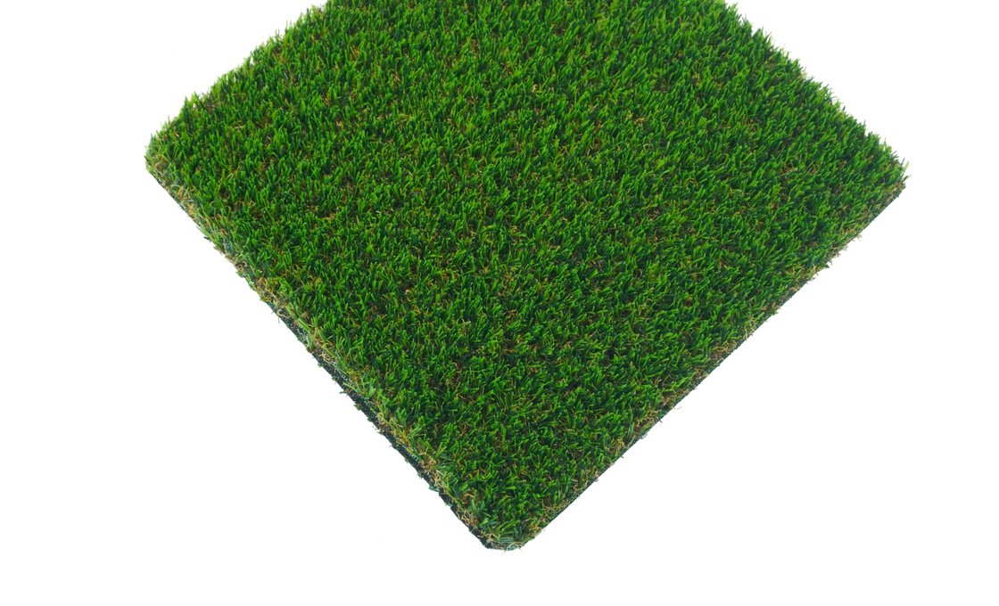 Délicatesse C 2015