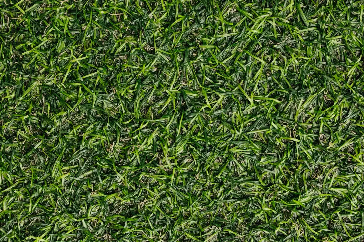 Unrolled synthetic turf roll on prepped slab with pile lean visible