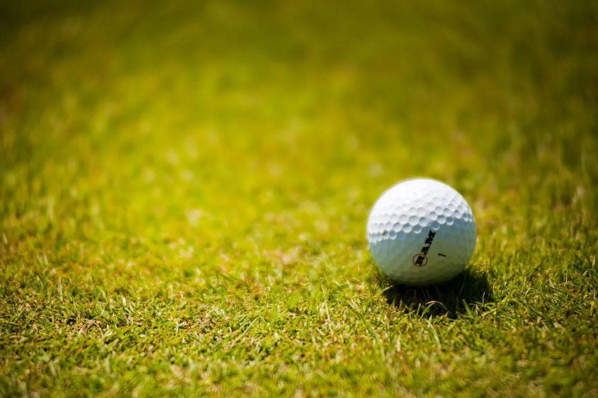 A golf ball resting on short green grass