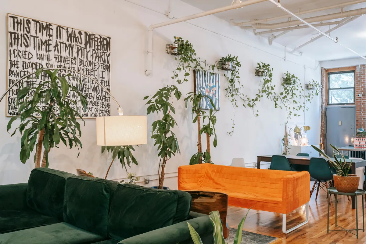 Room interior with potted creeping plants on the wall