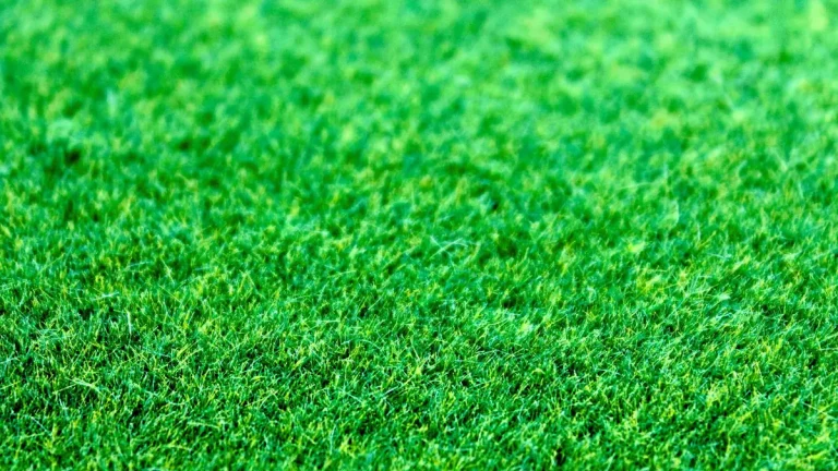 How High Should Artificial Turf Be: Pile Height Guide
