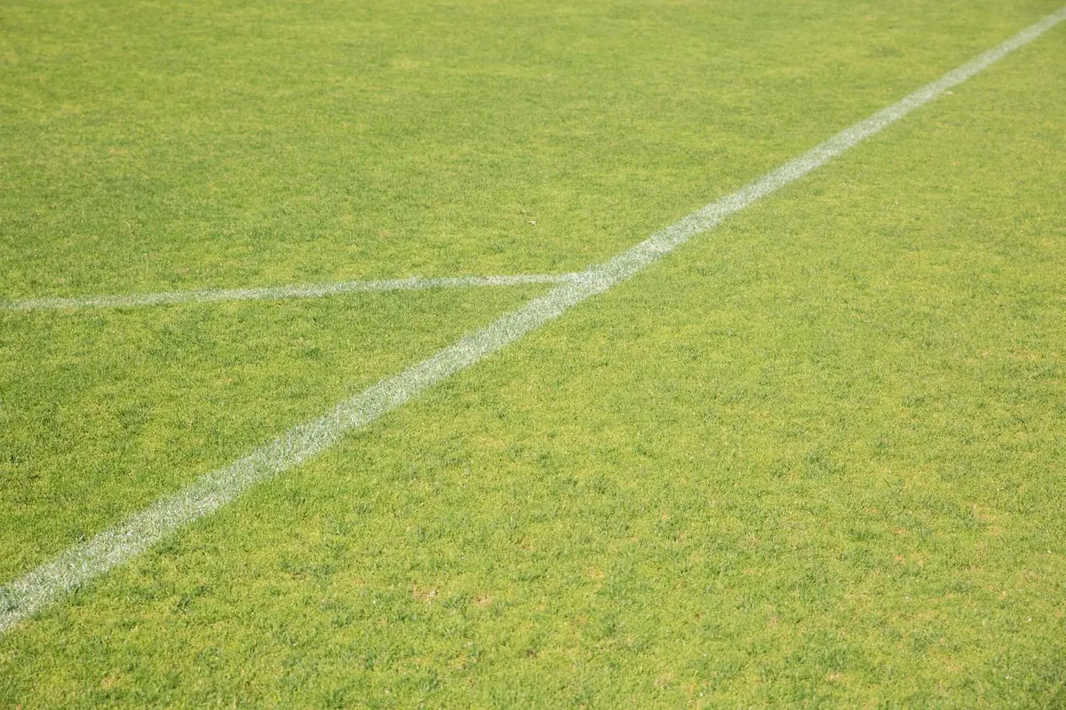 modern green sports field with painted white line
