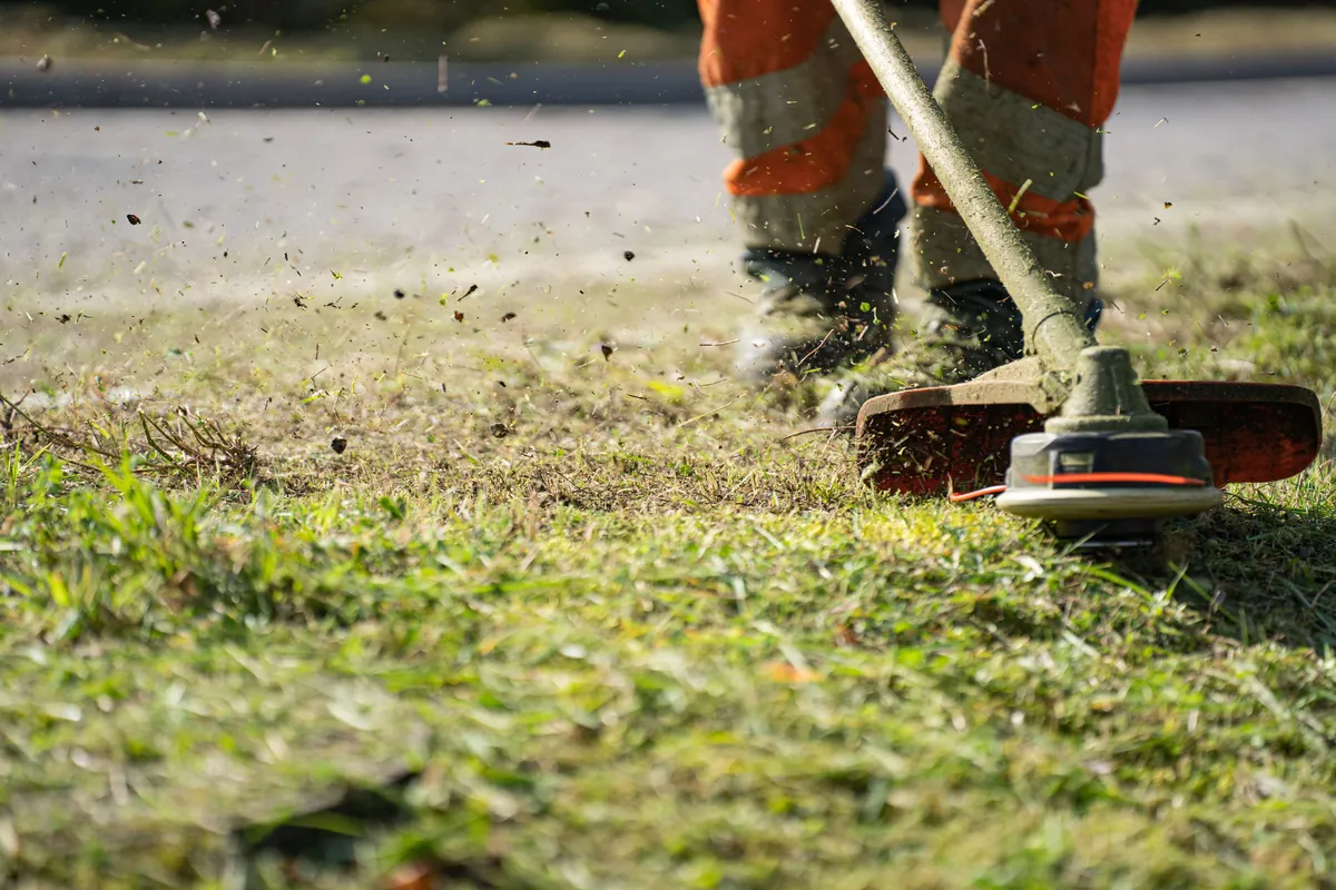 Grass trimmer maintaining lawn edges in close-up