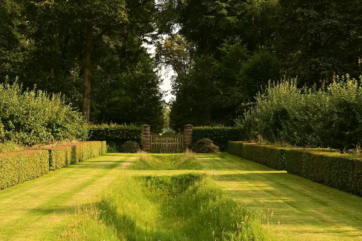 Trimmed garden pathway with neat green edges