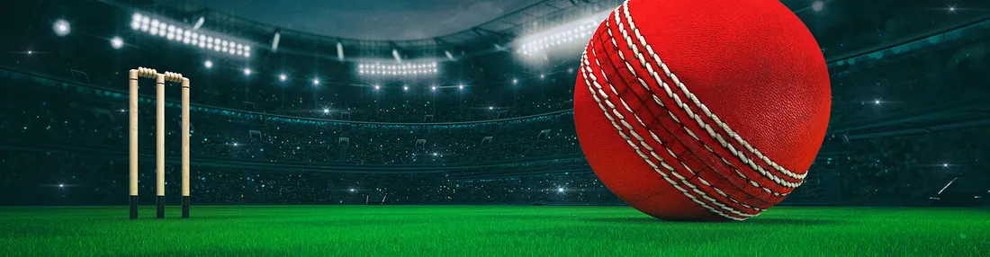 Artificial cricket turf pitch detail with wicket area