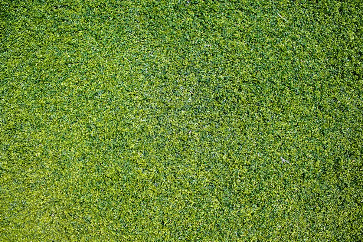 Recovered artificial turf sections staged for recycling of infill, fiber and backing