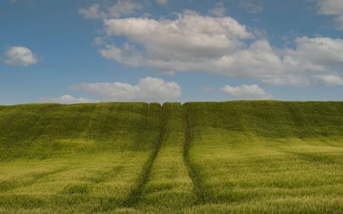 Green grass field stretching toward a partly cloudy sky