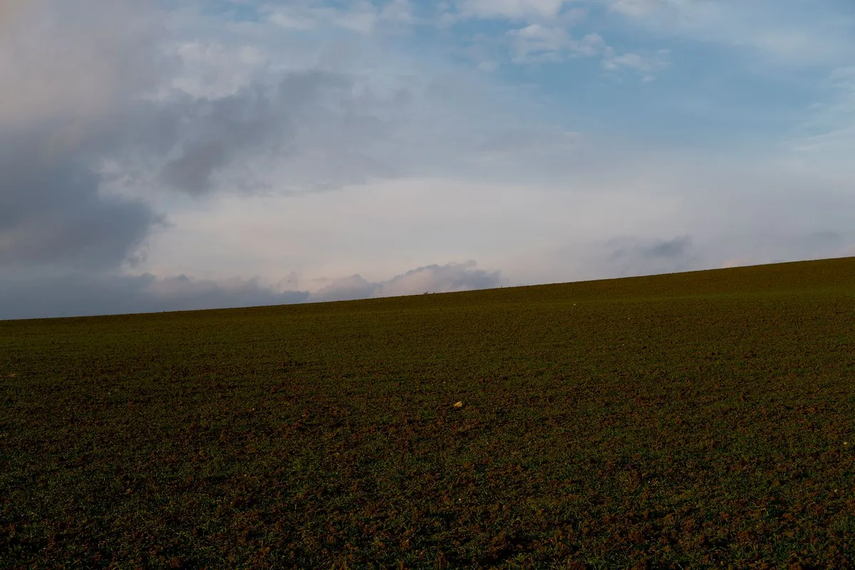 Green grass field stretching under a cloudy sky