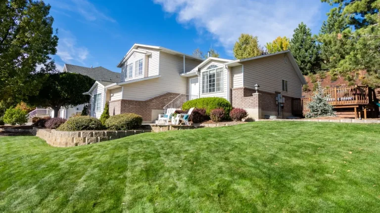 How Much Money Does Artificial Grass Save? The ROI Guide