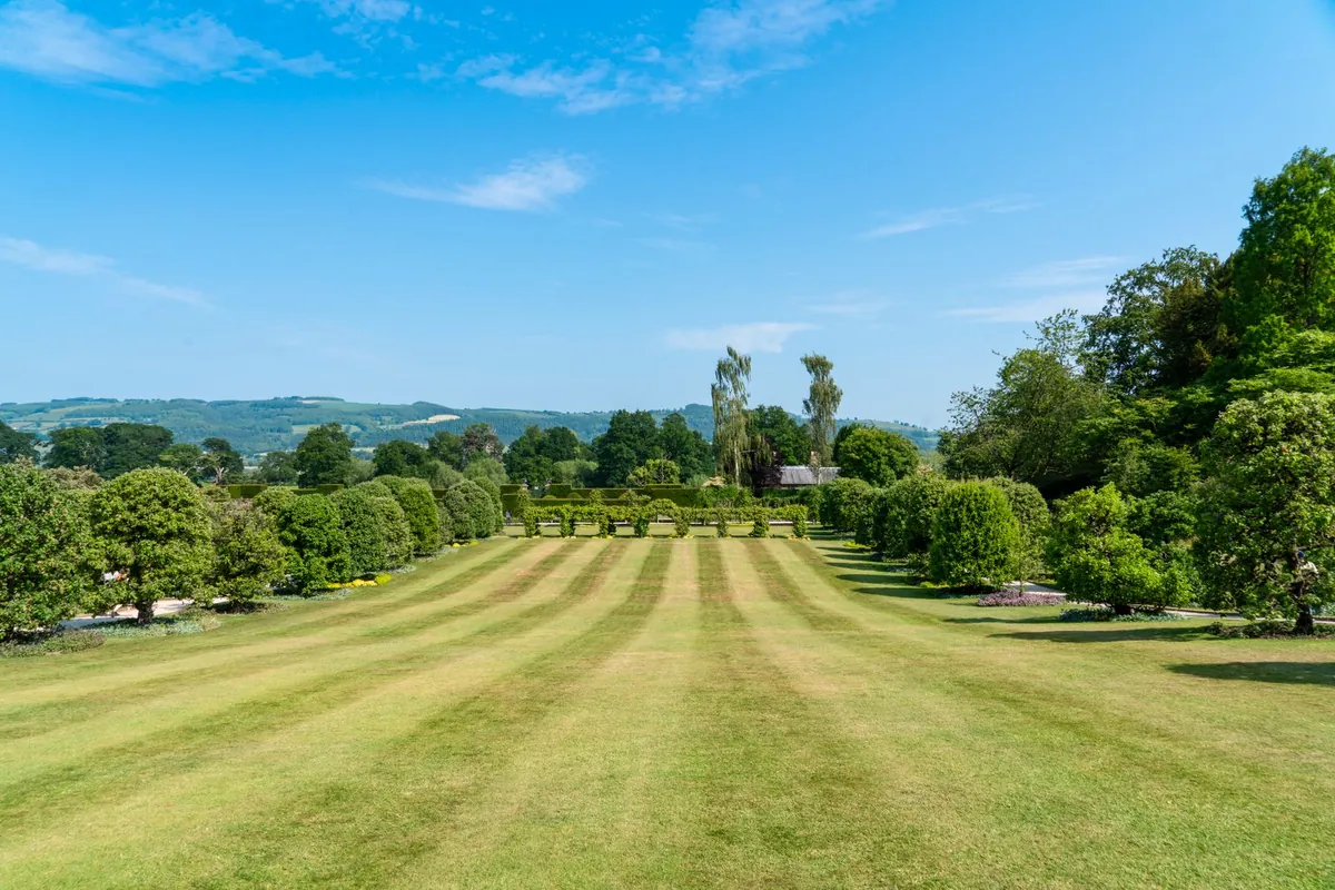Manicured garden lawn in summer